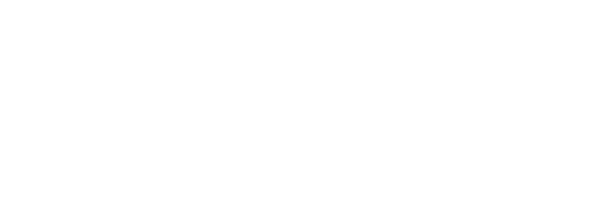 The Wood Turner Co Logo wh